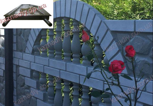 цветы у забора